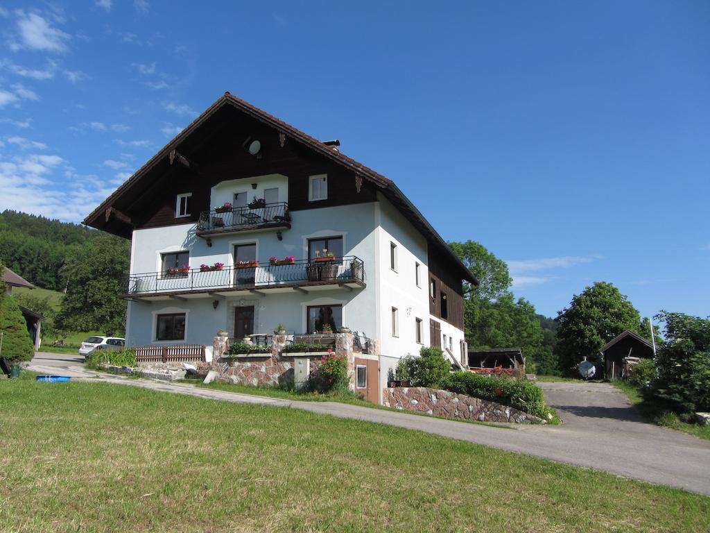 Bauernhof Schink Villa Zell am Moos Exterior foto